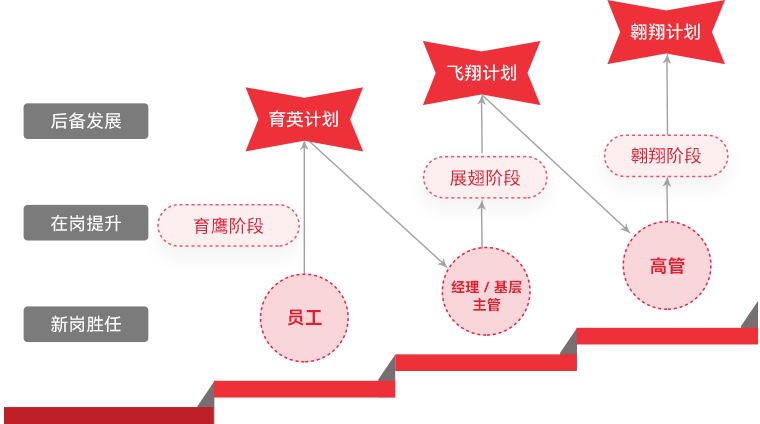 优发国际 "雄鹰妄想"人才梯队作育