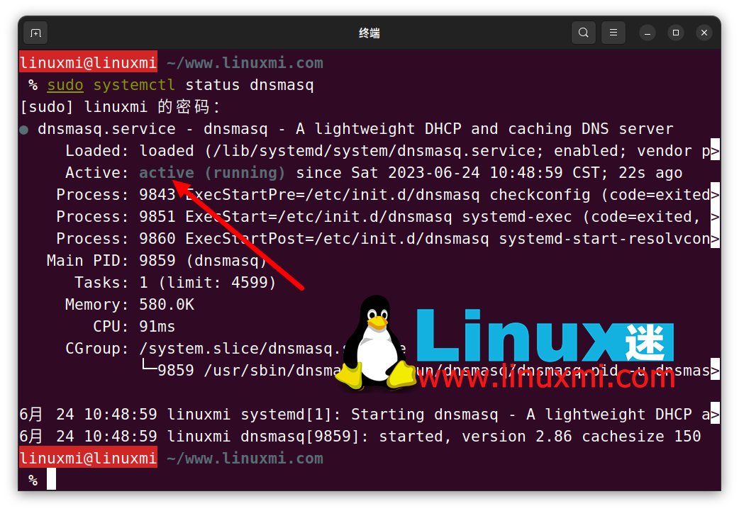  Linux ˢ DNS 